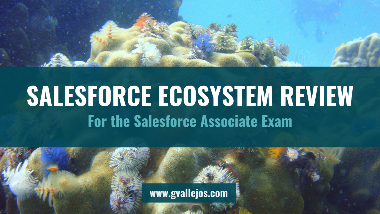 Salesforce Ecosystem for Associates